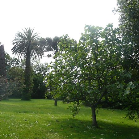 Las Carolinas Garden Σανταντέρ Εξωτερικό φωτογραφία